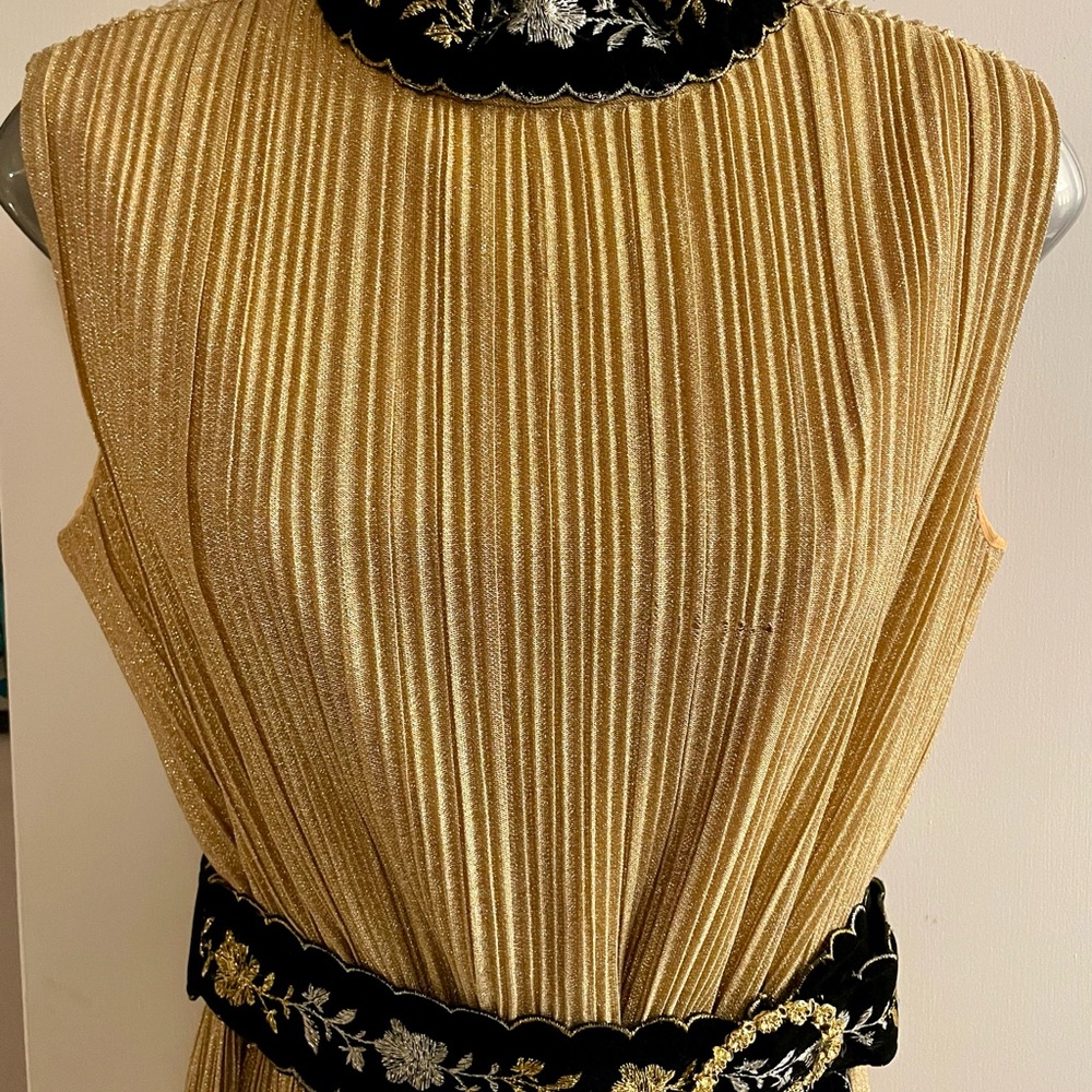 Elegant Gold and Black Sleeveless Dress - Picture 6 of 6